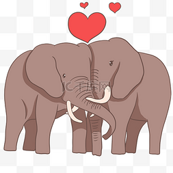 情侣小动物大象