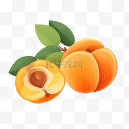 黄桃罐头手绘图片_卡通手绘夏季水果黄杏
