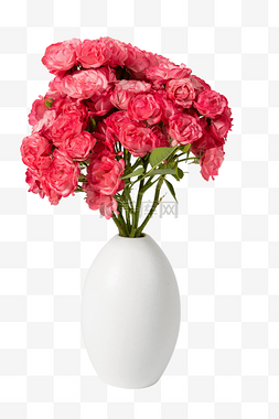 唯美蔷薇花瓶插花
