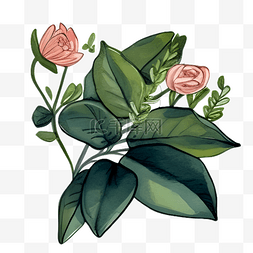 玫瑰植物盆栽绿色卡通手绘