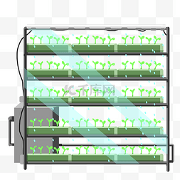 温室农业栽培植物