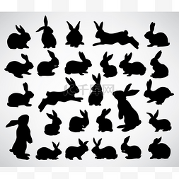 兔子图片_兔子剪影