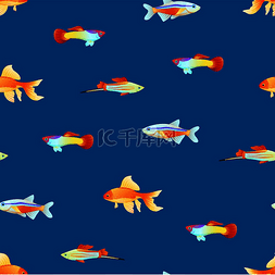 装饰鱼鱼鱼图片_无缝模式与小型海洋生物卡通矢量