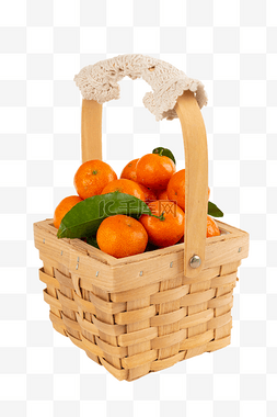 砂糖桔苗图片_一篮砂糖橘橘子
