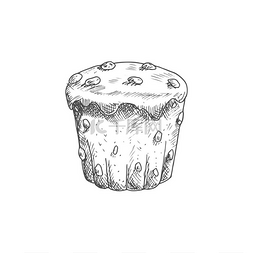 葡萄干松饼孤立的甜面包店草图矢