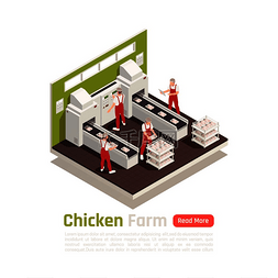 家禽养殖场工业生产设施与鸡肉在