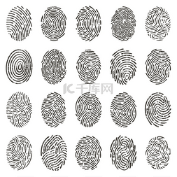 身份证底纹图片_生物识别指纹。
