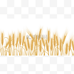 耳朵的小麦水平边框无缝模式