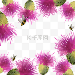 蓟花卉蜜蜂水彩粉色边框