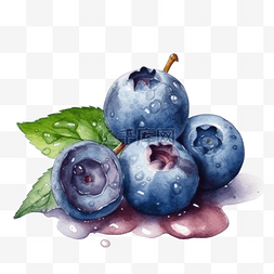 卡通手绘夏季水果蓝莓