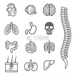 签名素材图片_建筑与施工工具图标设置。矢量插