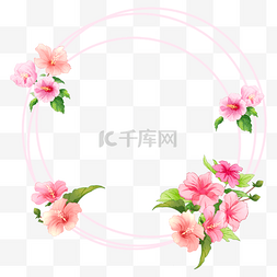 线条盛开的花朵矢量图片_粉色圆形边框木槿花花卉