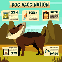 狗接种疫苗的好处信息图表元素正