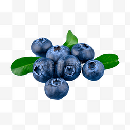 蓝色为图片_莓果甜点零食蓝莓