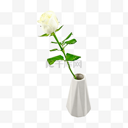 茶花瓶图片_美丽纯洁白玫瑰