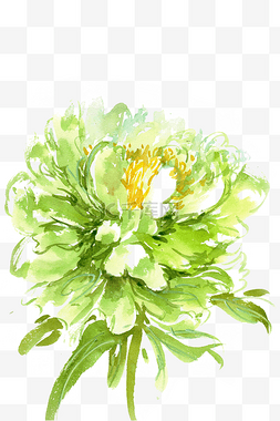 花瓣牡丹图片_水墨画绿色的牡丹