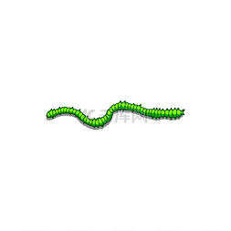 简单的绿色蠕虫孤立的无脊椎动物