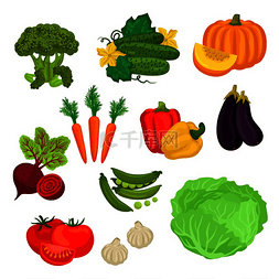 细分市场图片_农场蔬菜孤立的扁平图标素食农场