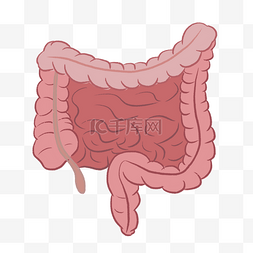 人体奇幻图片_人体内脏肠道健康