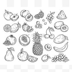 水果芒果图片_素描水果。草莓瓜，桃子芒果。香