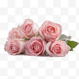 新年快乐高清图图片_高清免扣花卉摄影粉玫瑰设计素材
