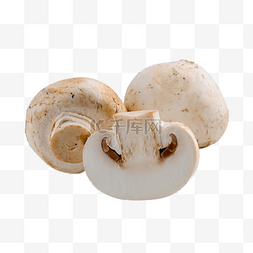口蘑图片_白蘑菇有机白油蘑菇