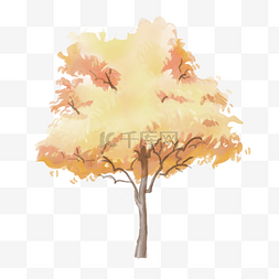 水彩晕染秋季树木水彩树