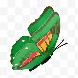 昆虫logo图片_蝴蝶绿色多彩翅膀