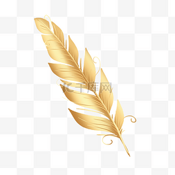金色羽毛