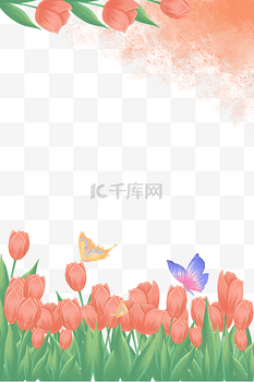 春天植物郁金香边框花草花朵