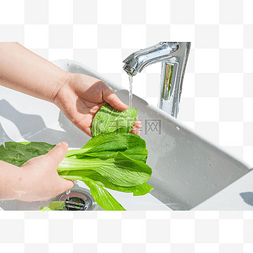 水洗绿色小油菜