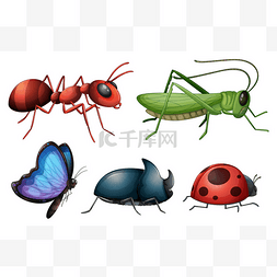 卡通手绘昆虫图片_各种昆虫和 bug