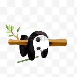 动物图片_树枝卡通动物熊猫
