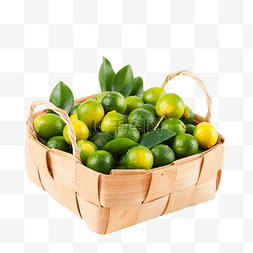 绿皮小金桔新鲜水果