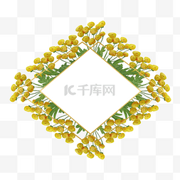 图形精美图案图片_艾菊花卉水彩精美边框