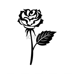 玫瑰花孤立的黑色剪影。