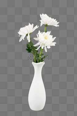 菊花白色图片_清明清明节白色菊花瓶插花