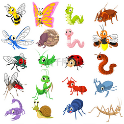 组的昆虫卡通人物平面设计矢量图