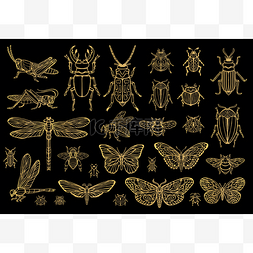 大手绘制金线设置昆虫虫, 甲虫, 