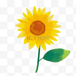 黄色深色边星星png素材图片_黄色花枝向日葵