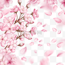樱花飘落图片_春季日本光效粉色樱花花枝花瓣飘