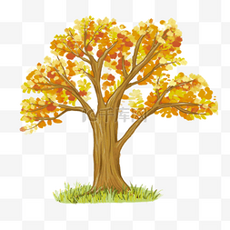 水彩风格秋天的一棵树