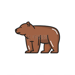 野生动物隔离瑞士棕熊侧视图平面