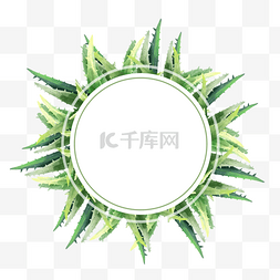 芦荟绿色背景图片_时尚水彩植物芦荟边框