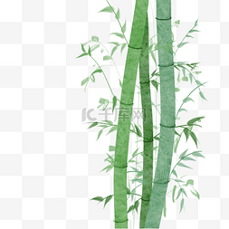 绿色竹子竹节