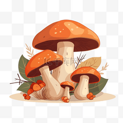 卡通手绘蔬菜蘑菇