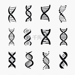 Dna 不同的图标集，一种分子，它