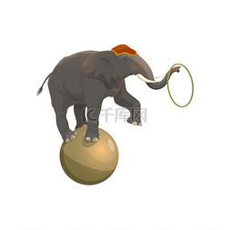 马戏团图片_马戏团大象在球和杂耍环上保持平