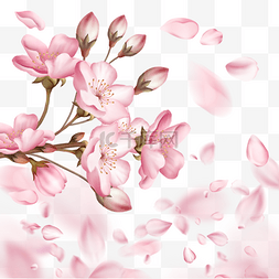 春季光效粉色樱花3d花瓣飘落