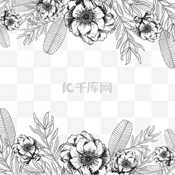 花卉黑白线稿叶子边框
